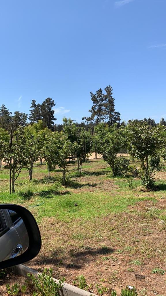 Parcela Con Casa * Algarrobo